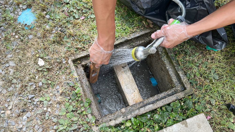 Person cleaning an outdoor water valve box with a hose; gray concrete, green grass.