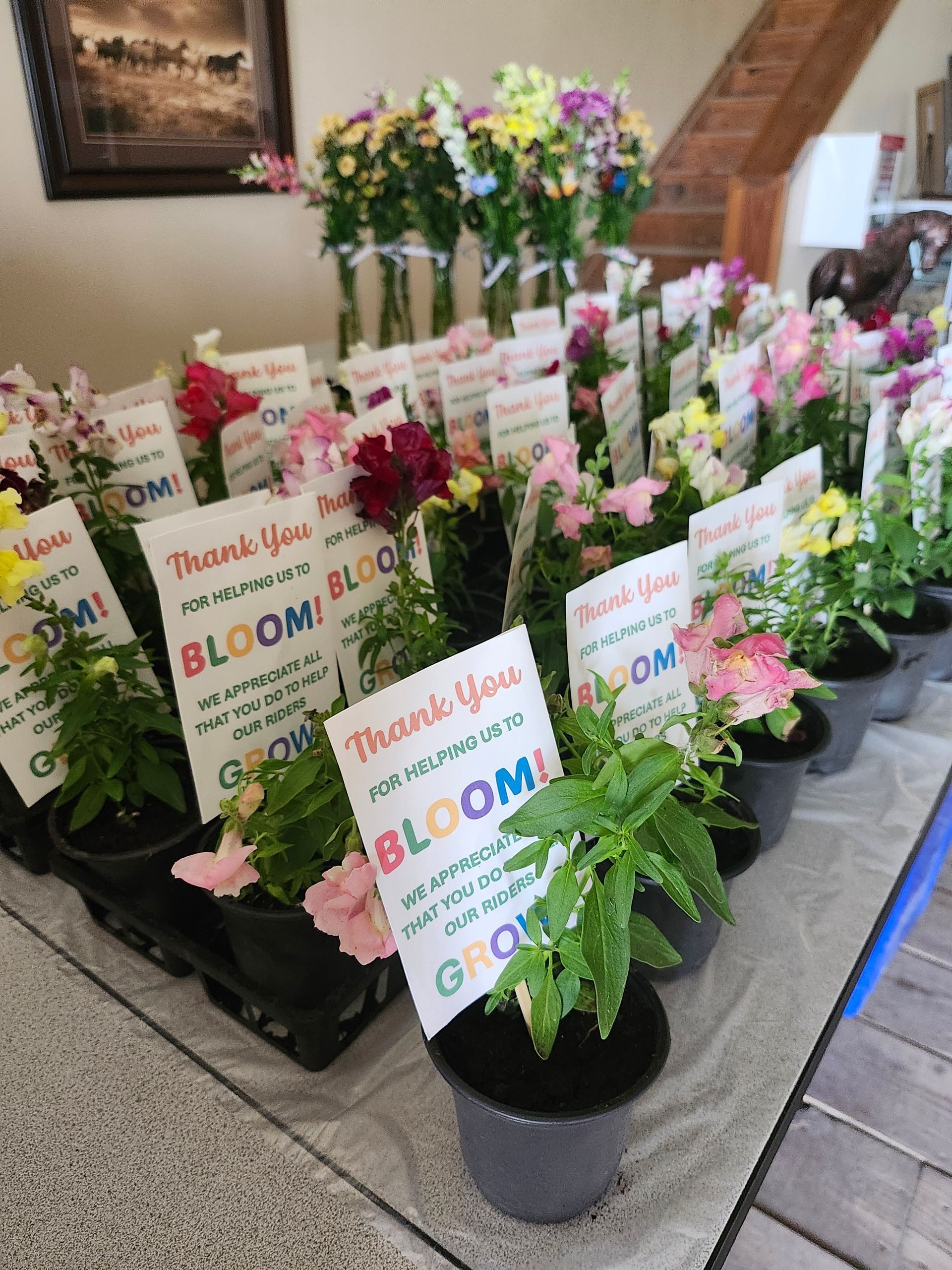 Flowers in pots with 
