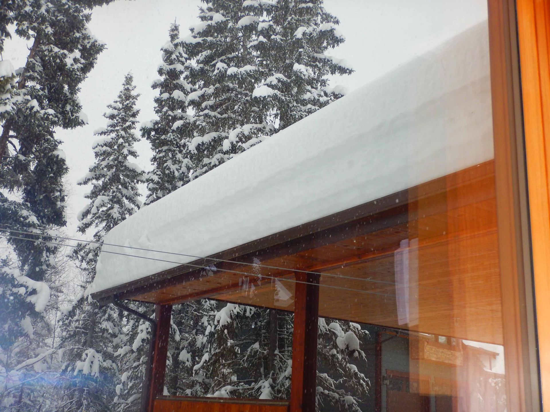 A snowy roof is reflected in a window with trees in the background