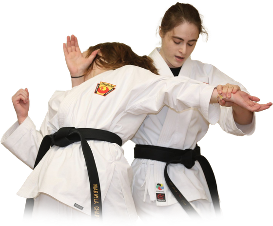 a group of children are practicing martial arts together .