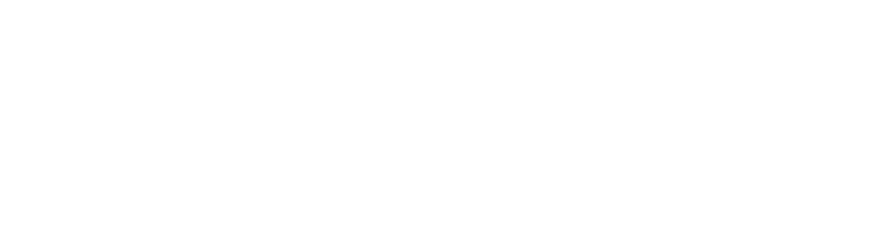 Roof America Logo Black