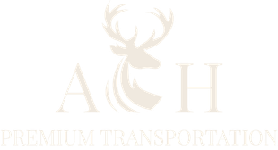 Silhouette of a deer head with large antlers in navy blue, accented with curved lines.