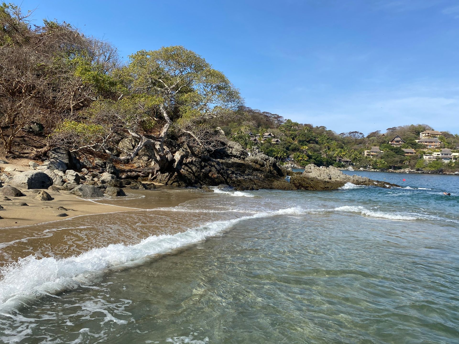 A beach with trees on the shore and waves crashing on the shore.