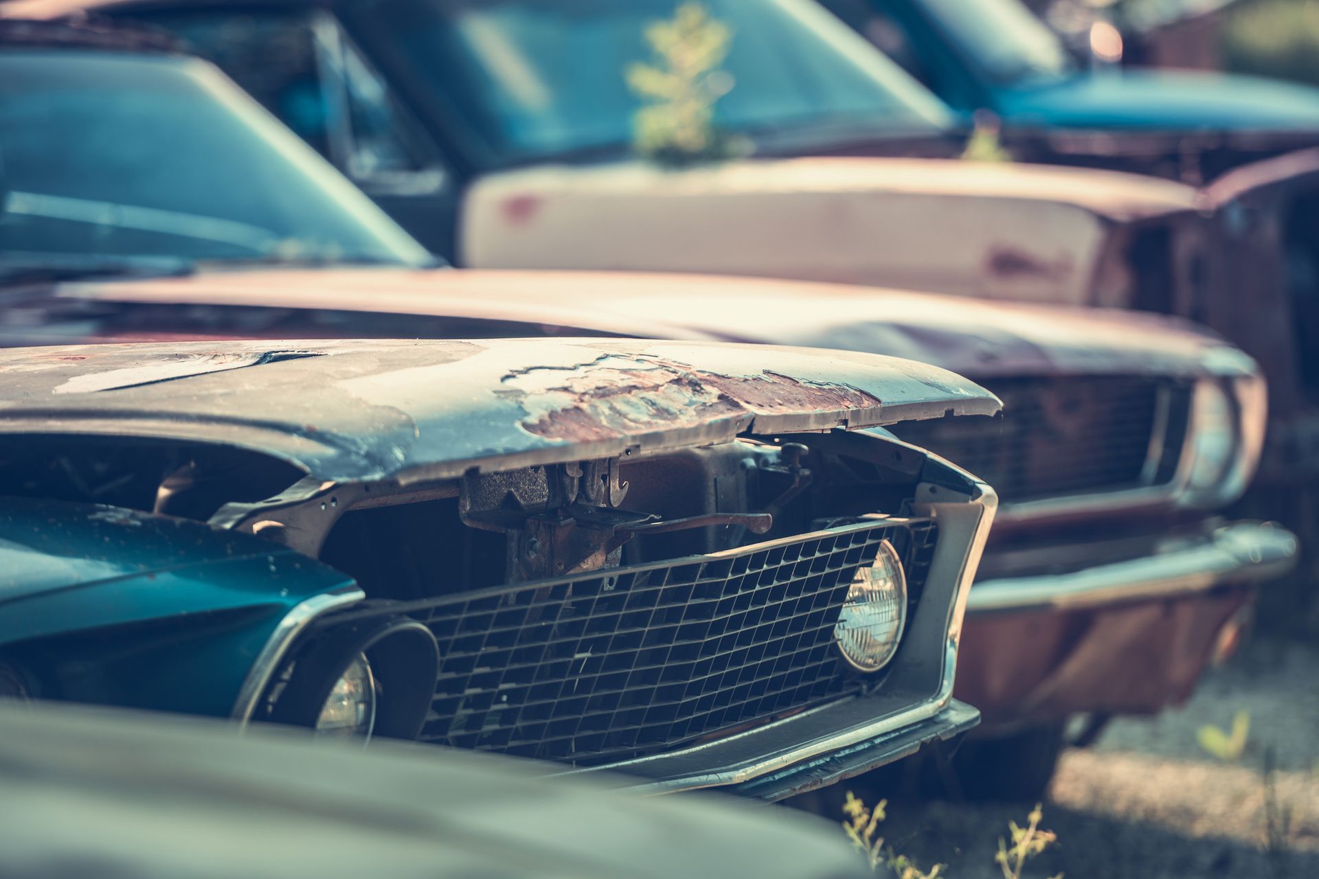 American junk yard close up. American junk yard close up.