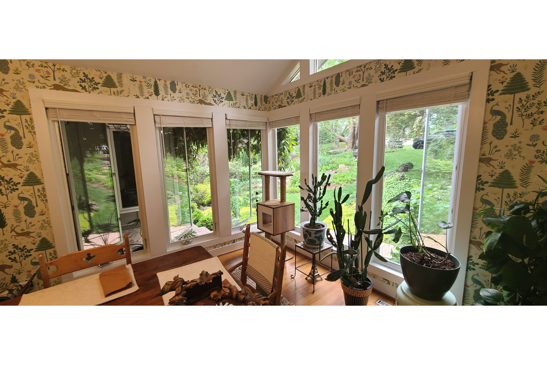 A sunroom with green botanical-patterned wallpaper, large windows, a wooden table, and several potted houseplants.
