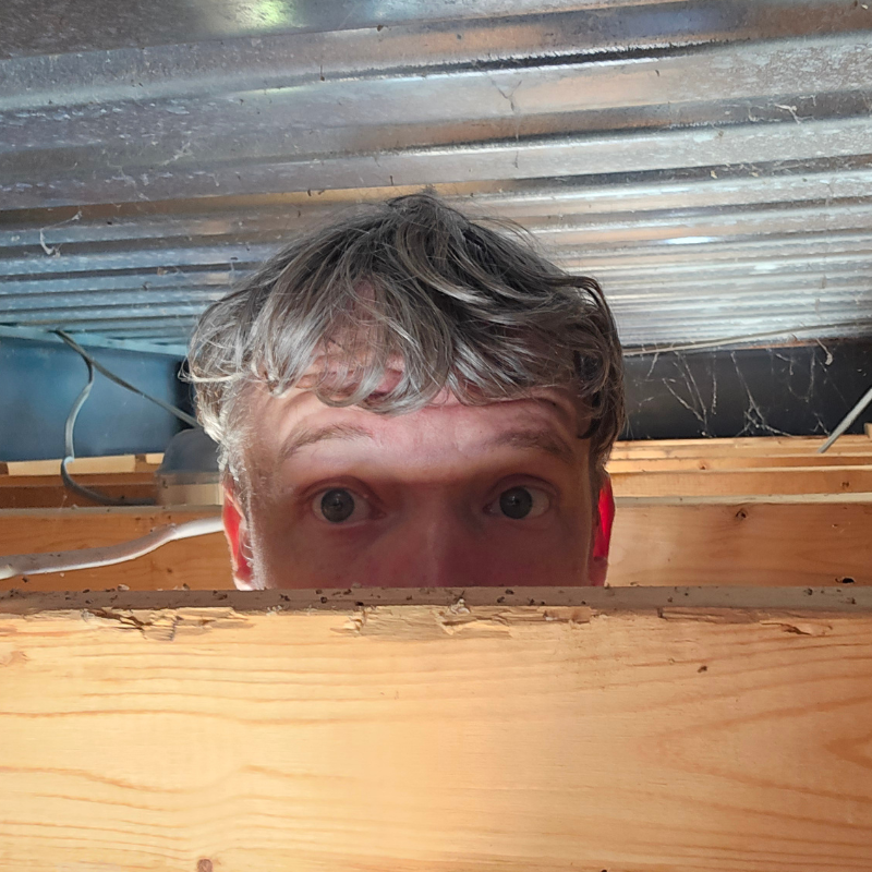 A person with light brown, tousled hair peeking over a wooden joist in a crawlspace with corrugated metal overhead.