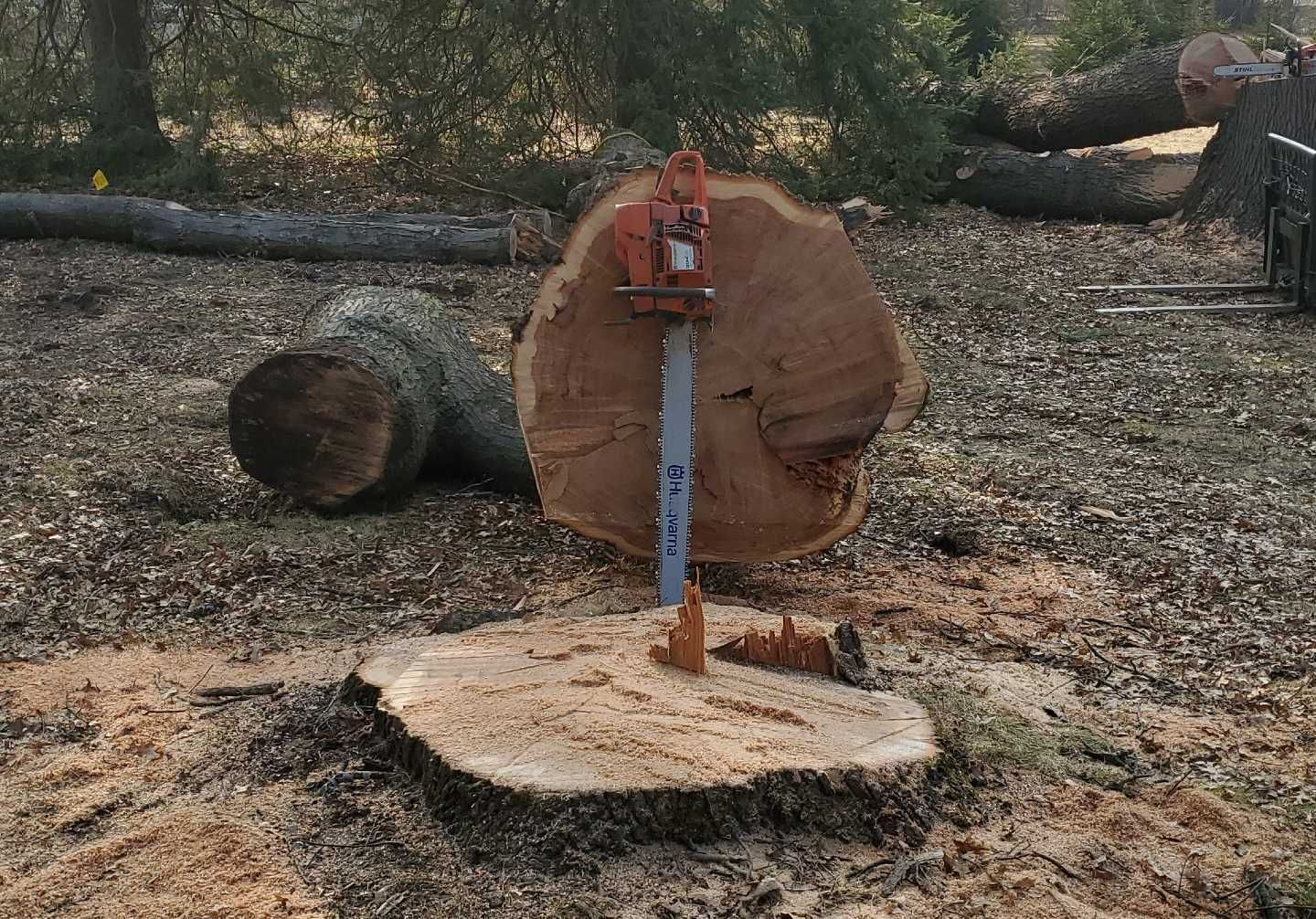 A chainsaw is sitting on top of a tree stump.