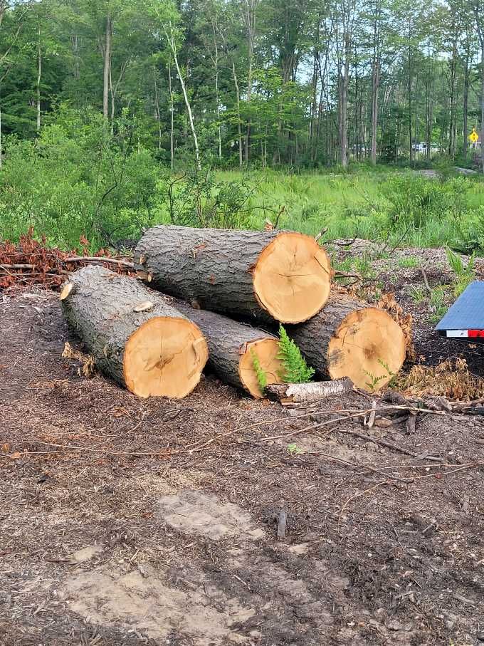 A pile of logs sitting on top of each other in a field.