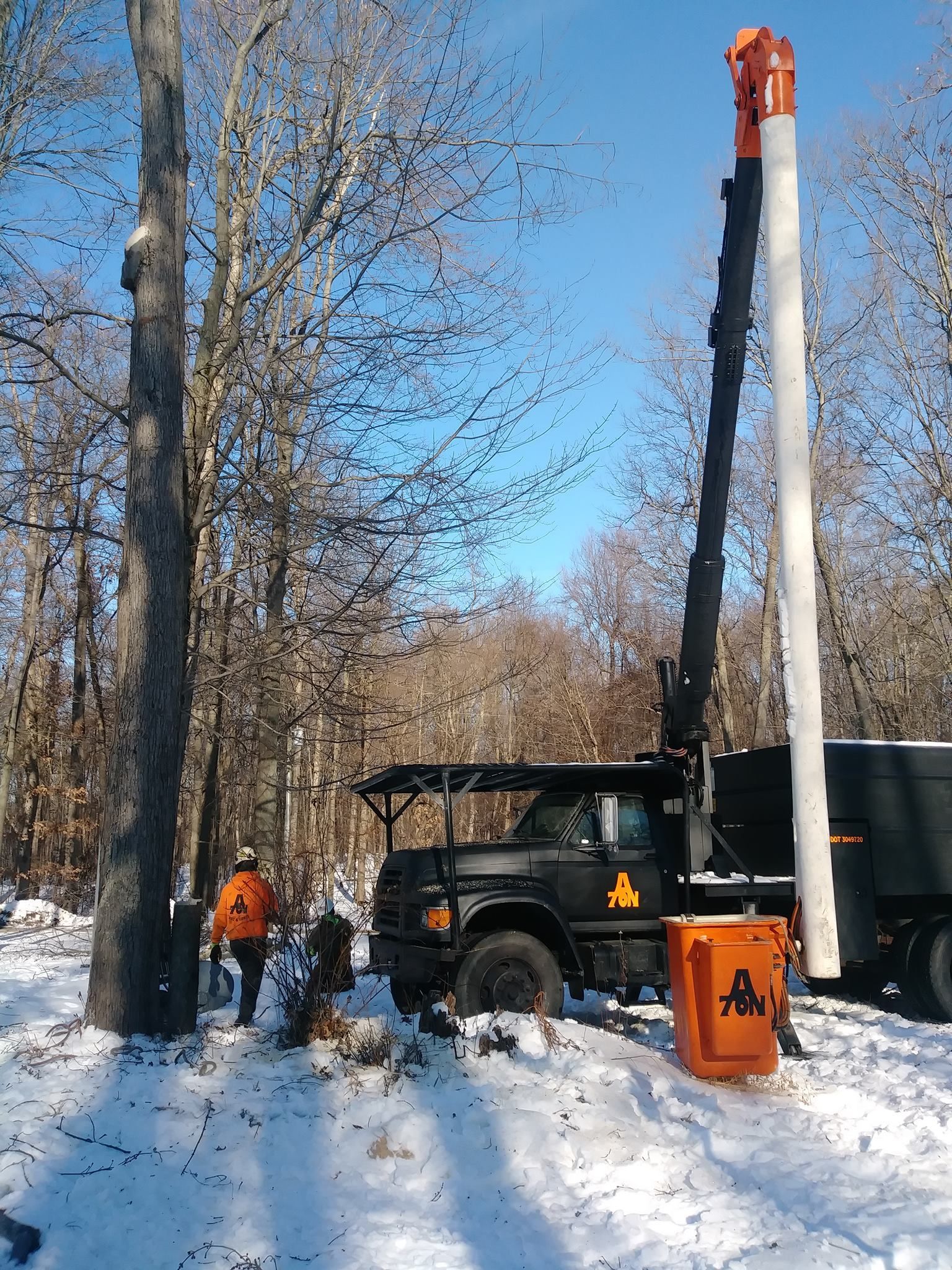 Tree trimming truck next to a tall tree in a snowy woods. A worker in orange vest is present.