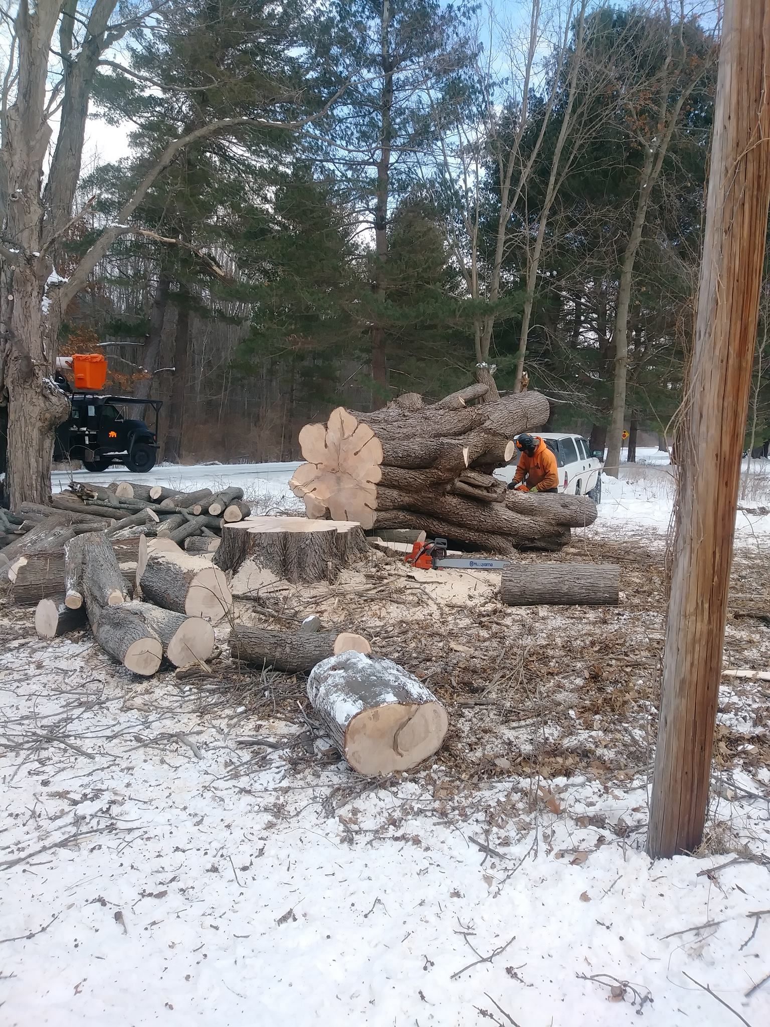 Man cutting wood in a snowy yard. Logs, sawdust, and equipment scattered around.