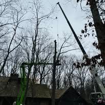 A crane trimming a tree near a house. The sky is overcast and the trees are bare.