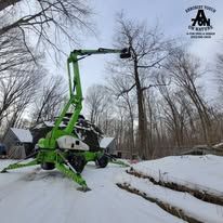 Green lift equipment trimming a tree in a snowy, wooded area.