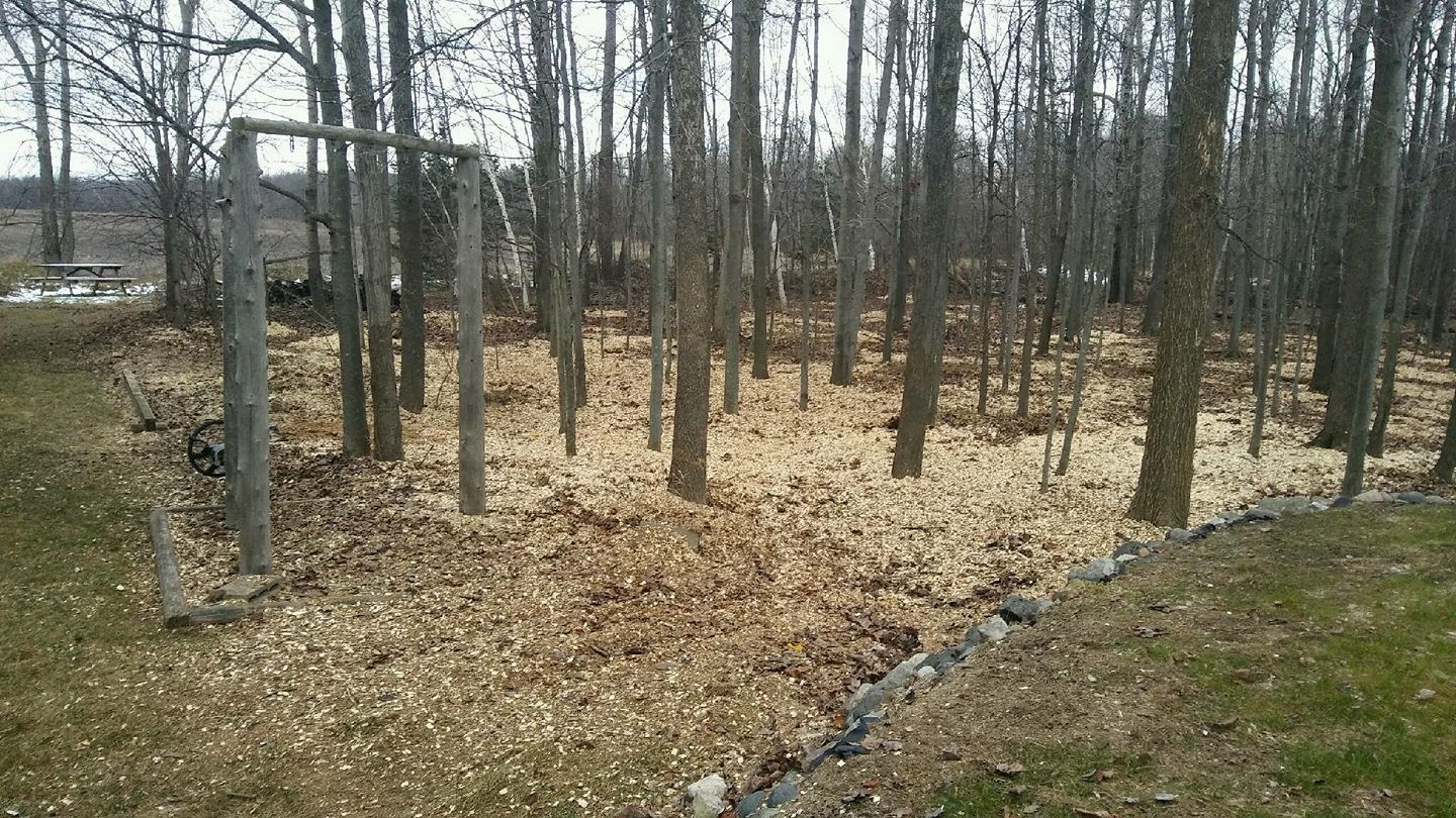 Pile of fallen leaves in a wooded area with trees.