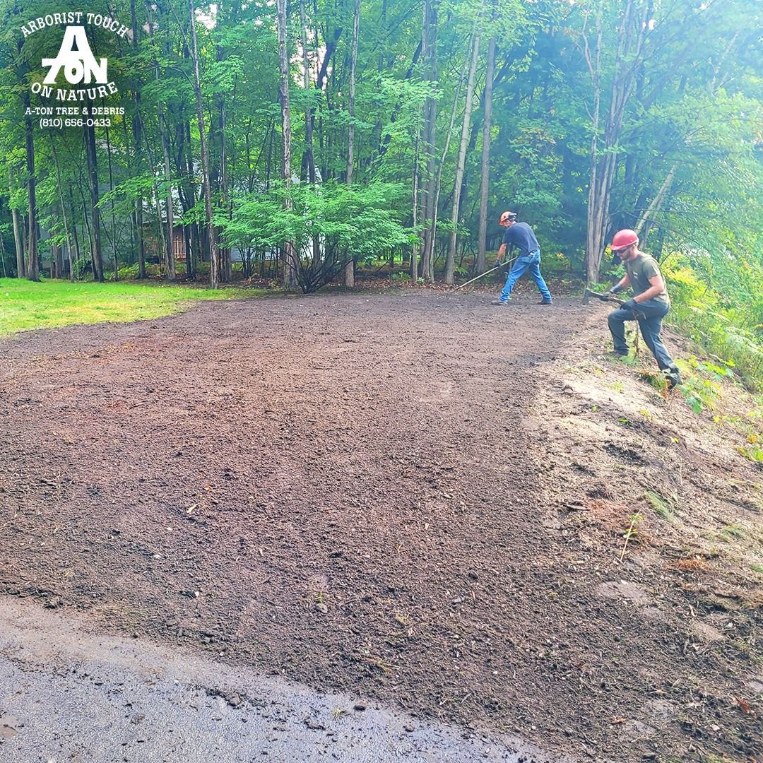 Two people raking soil on a prepared area for landscaping, near a forest.