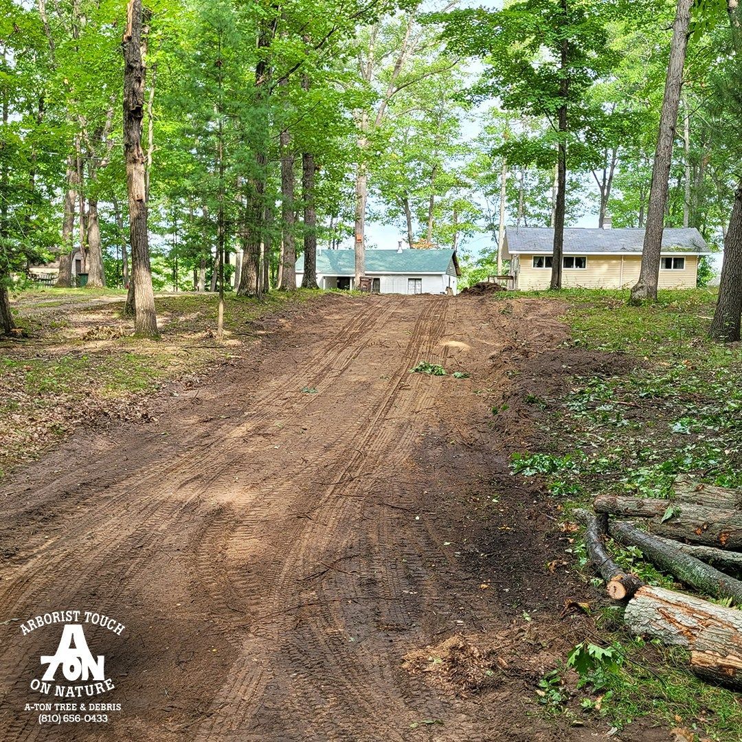 Muddy dirt path leading toward small cabins in a wooded area.