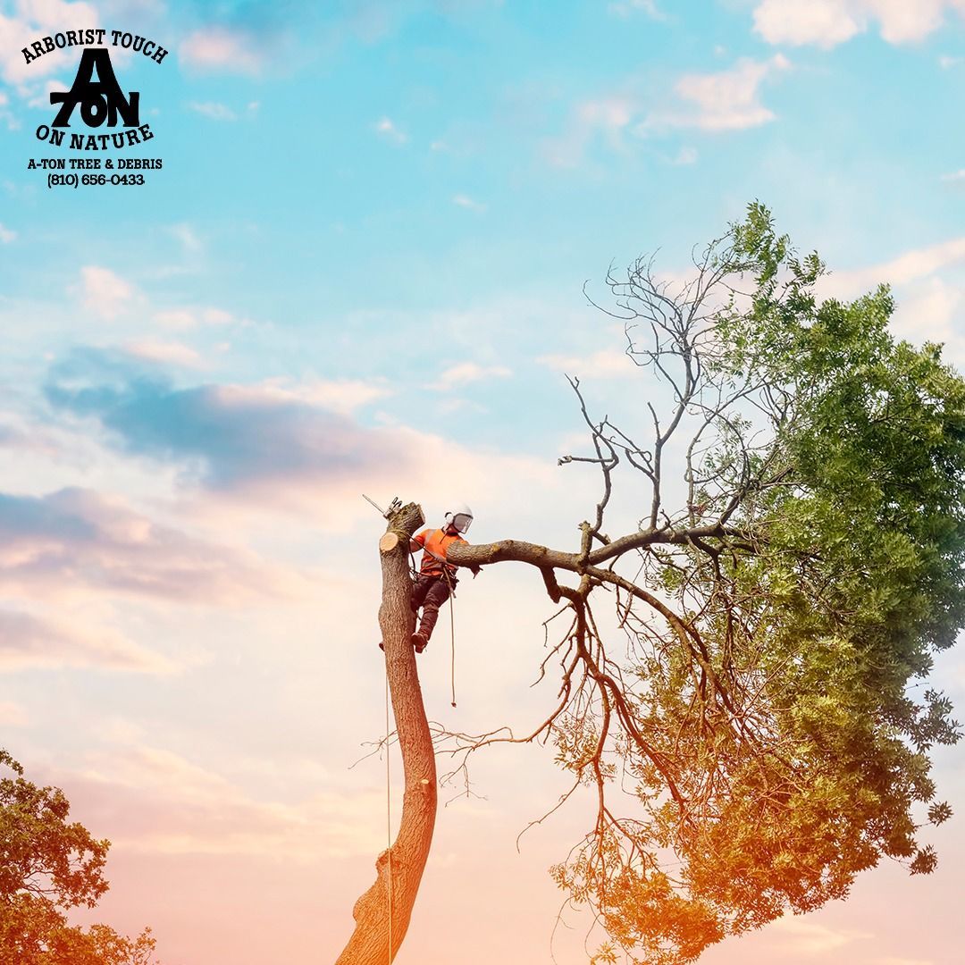 Man with chainsaw cuts tree branch. Blue sky background.