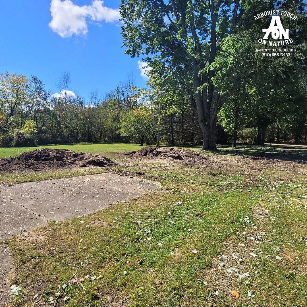 Grassy field with piles of dirt, concrete slab, and trees under a blue sky.