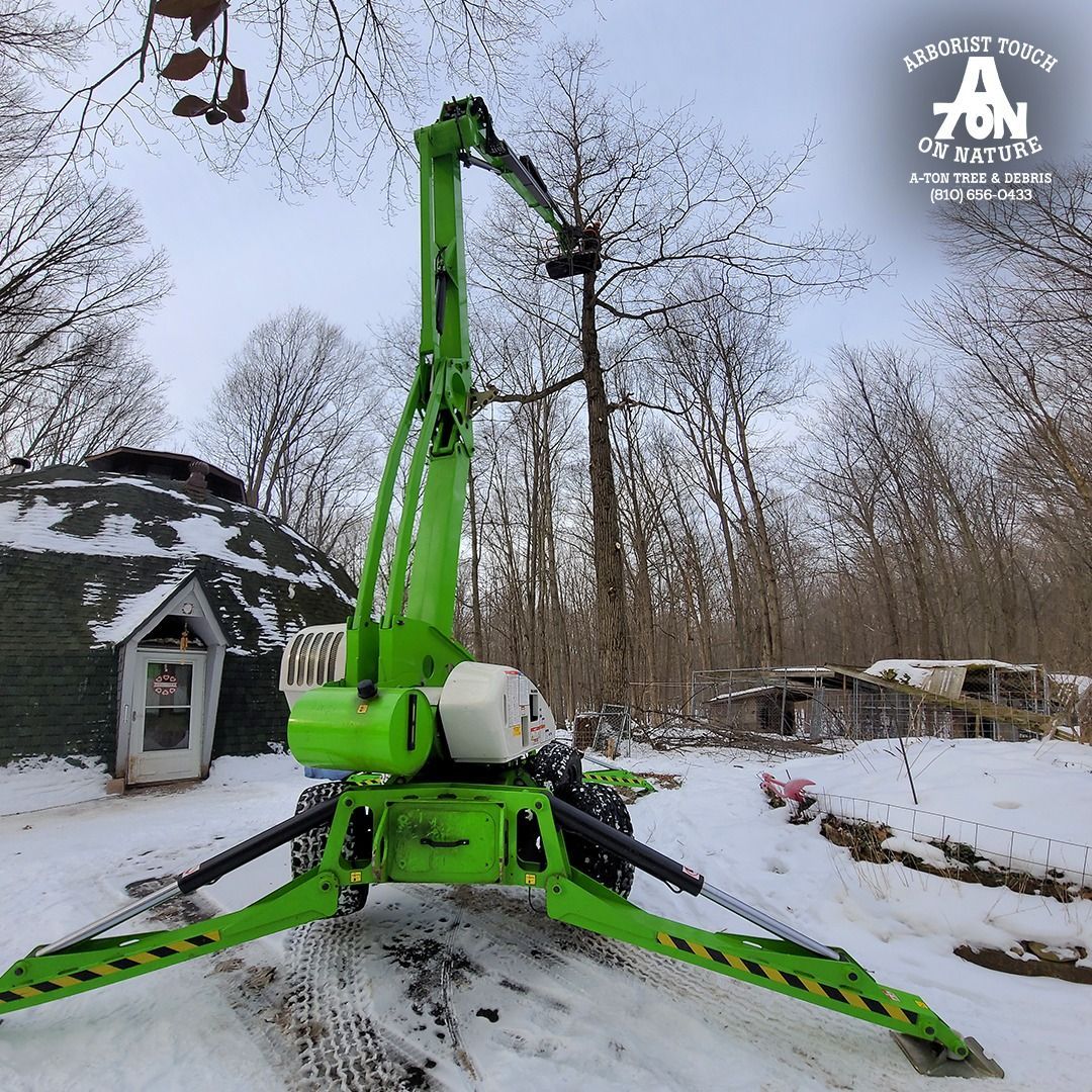 Green tree-trimming lift truck working on tree branches in a snowy environment. A dome-shaped building is in the background.