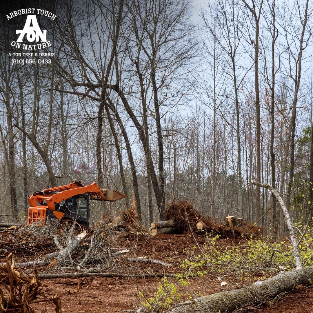Orange excavator clearing trees in a wooded area. Debris and exposed earth.