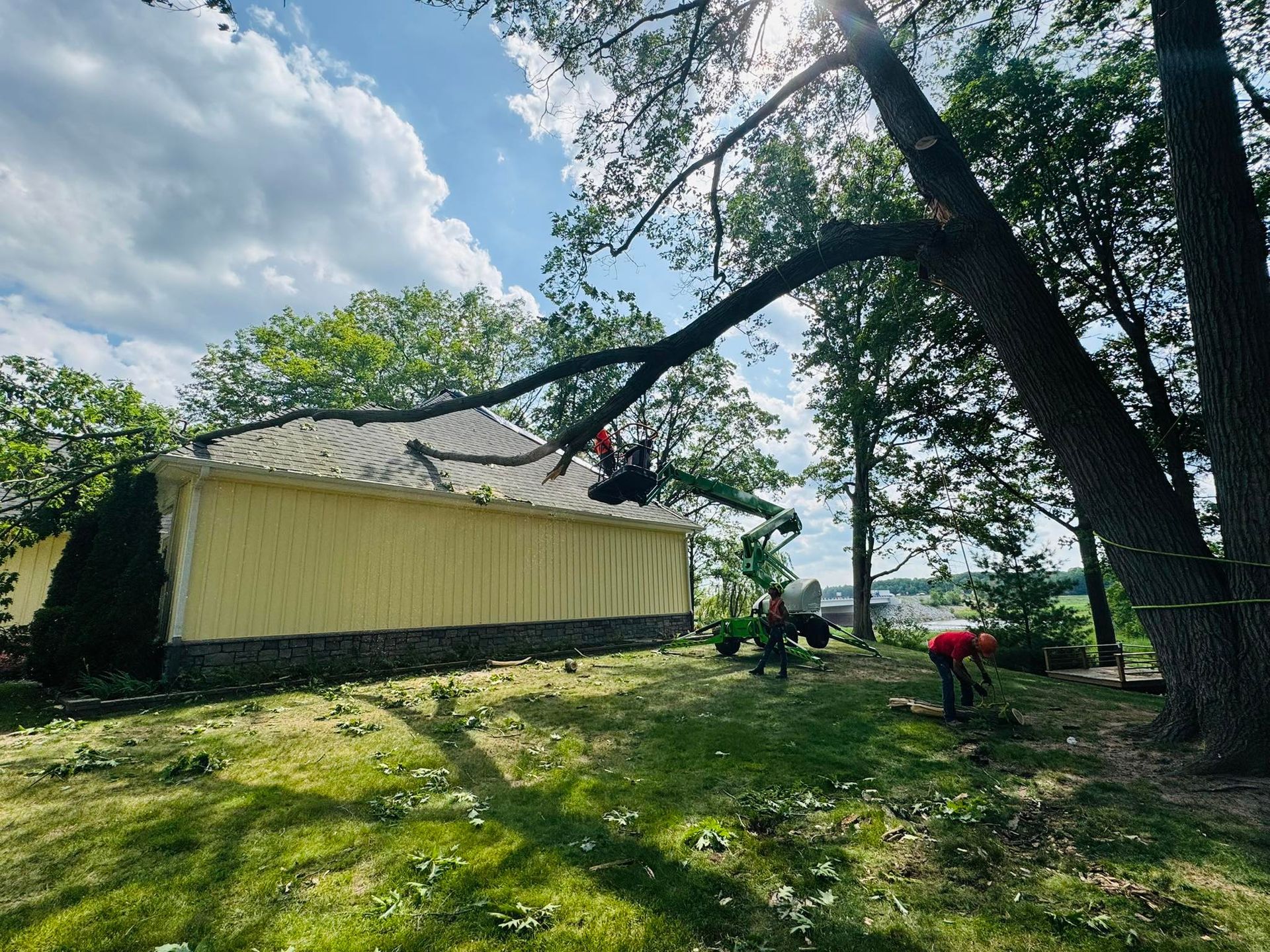 Tree trimming; workers on roof and ground, removing large branch over yellow building. Green grass, blue sky.