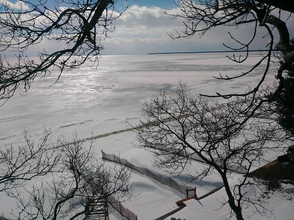 Bare trees frame a snow-covered landscape overlooking a frozen lake under a cloudy sky.