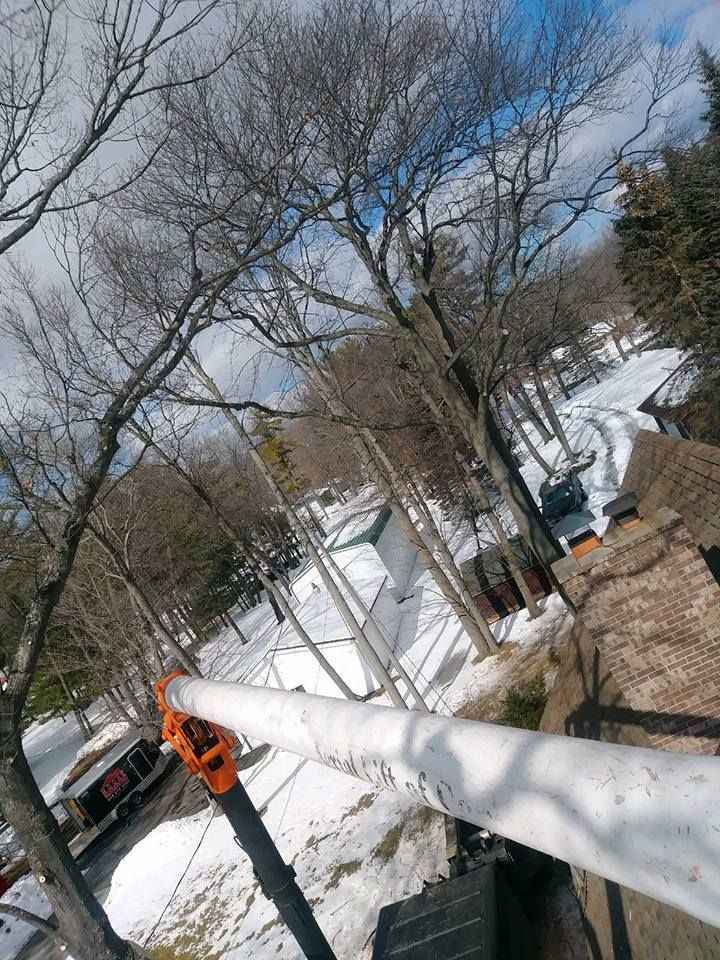 Person using a chainsaw on a long pole, cutting tree branches. Winter setting with snow.