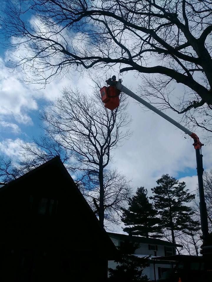 A bucket truck trimming tree branches under a cloudy blue sky. A house is in the foreground.