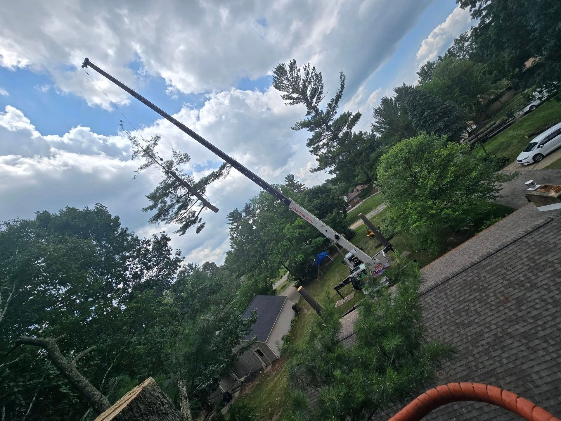 A tree being trimmed by a lift crane on a sunny day. Trees and houses in the background.