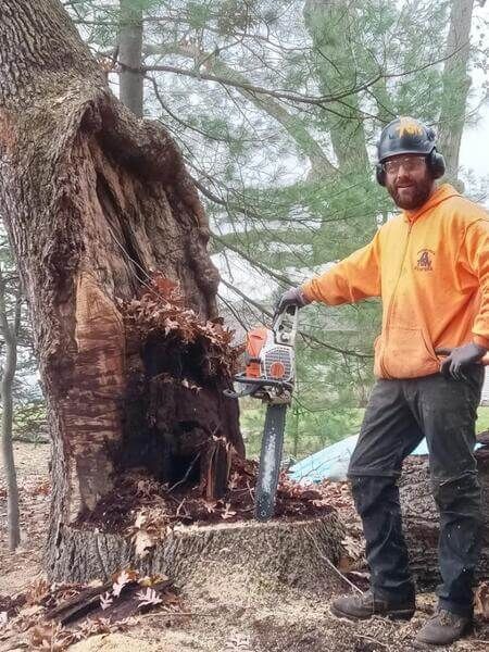 A man is cutting a tree with a chainsaw.