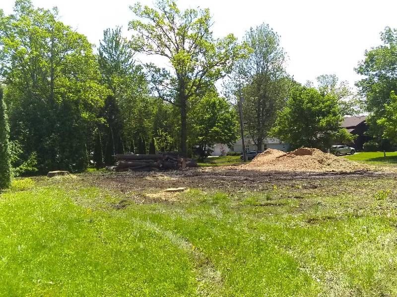 A large grassy field with trees in the background and a pile of dirt in the middle.