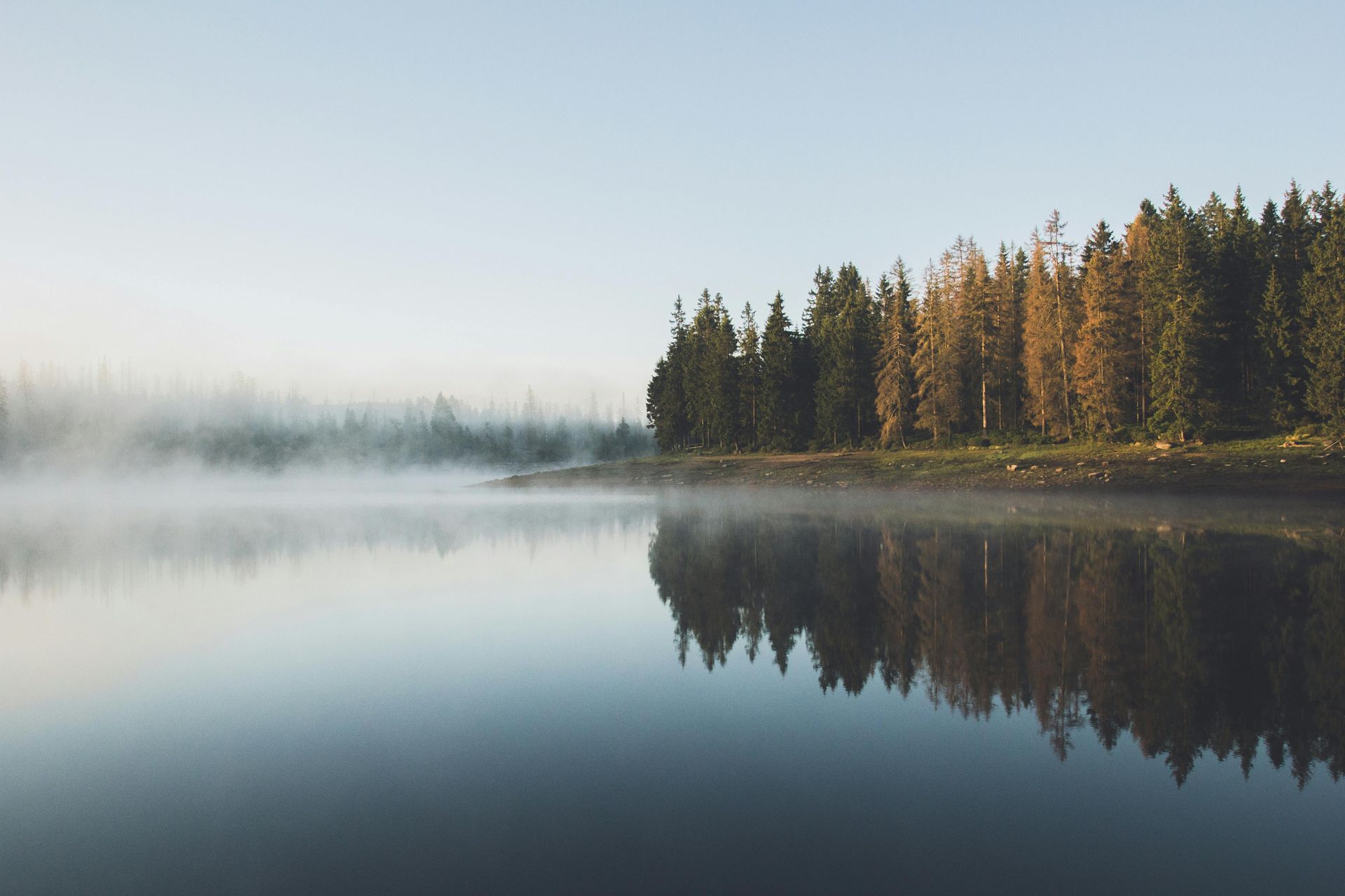 Still lake reflects trees; morning mist floats; light blue sky.