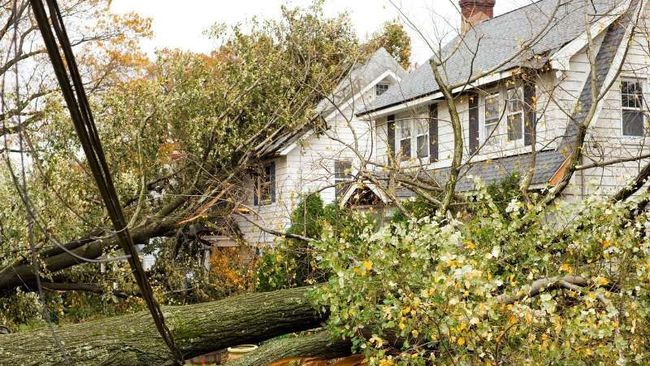 A tree has fallen on a power line in front of a house.