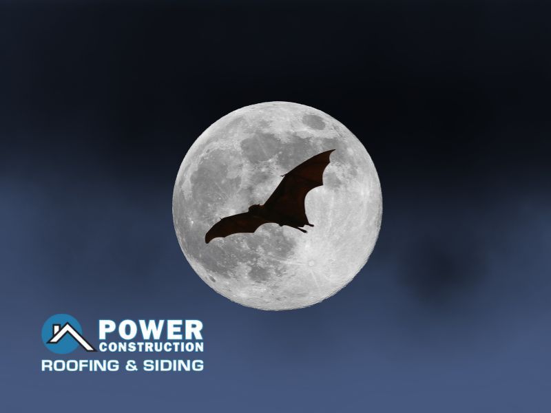 Is Your Roof a Vampire Sucking the Life Out of Your Energy Bills_power construction