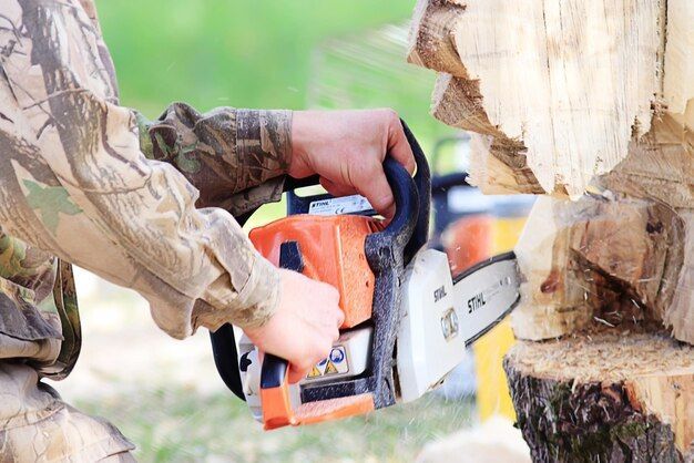 professional's tree sawing hands