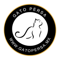 gatos persa en venta