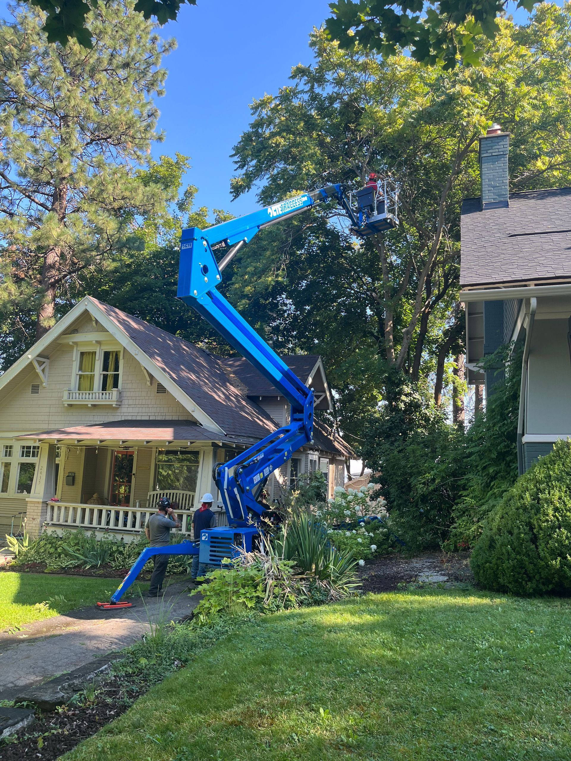 aerial lifts for tree care companies