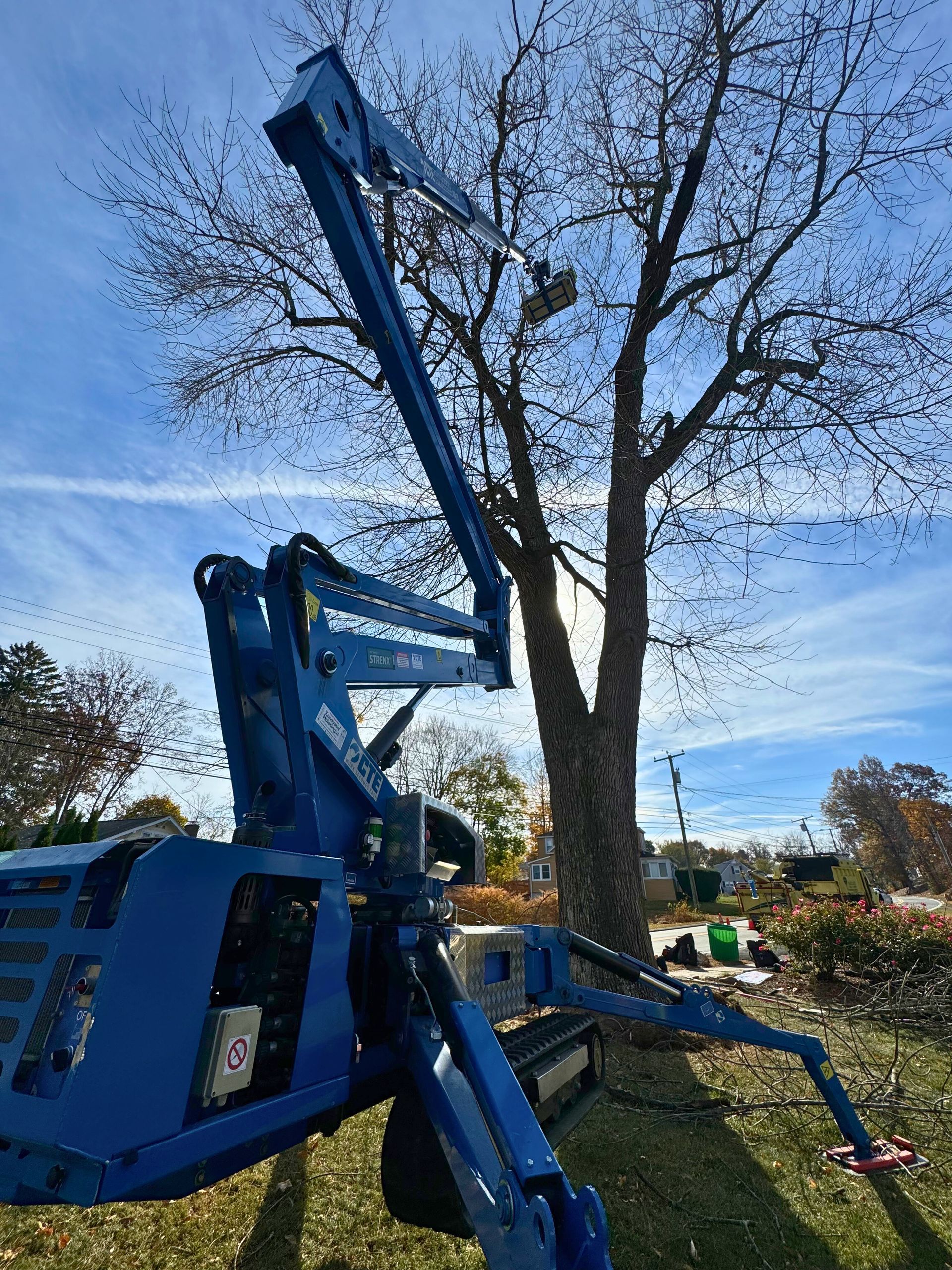 aerial lift for tree work