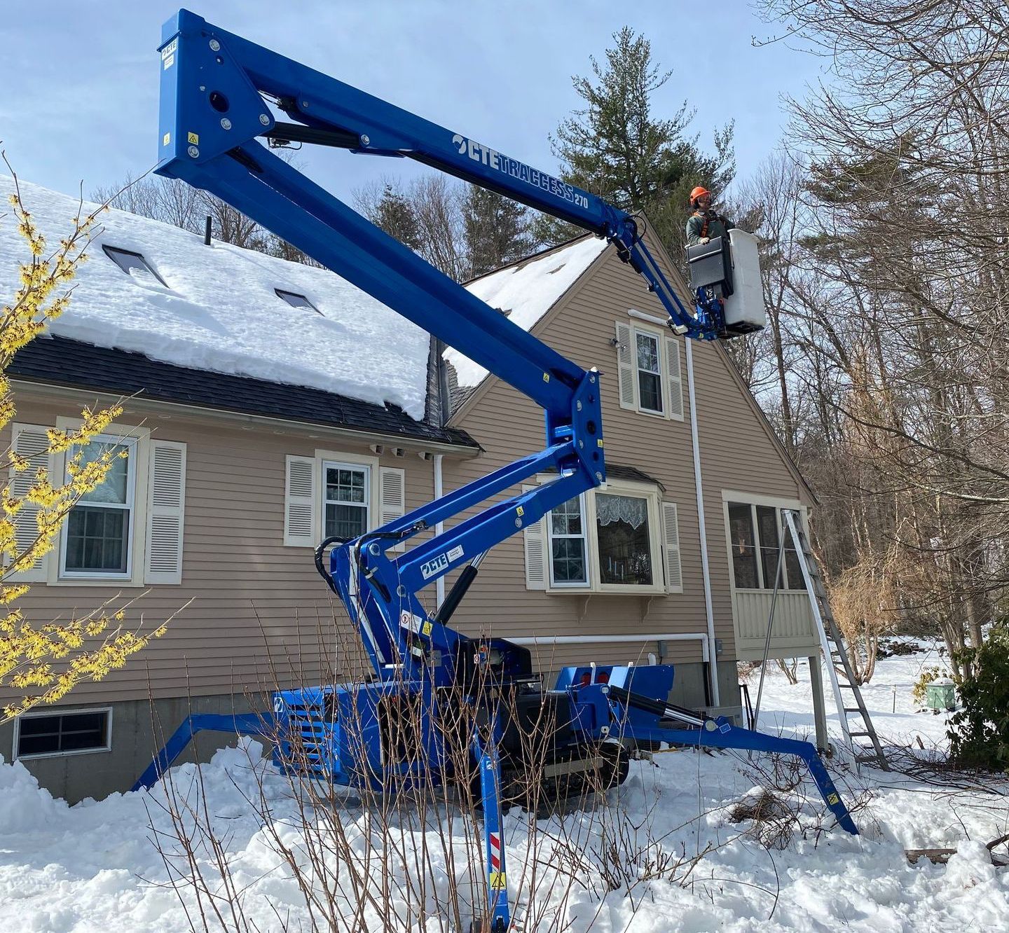Tree access lifts
