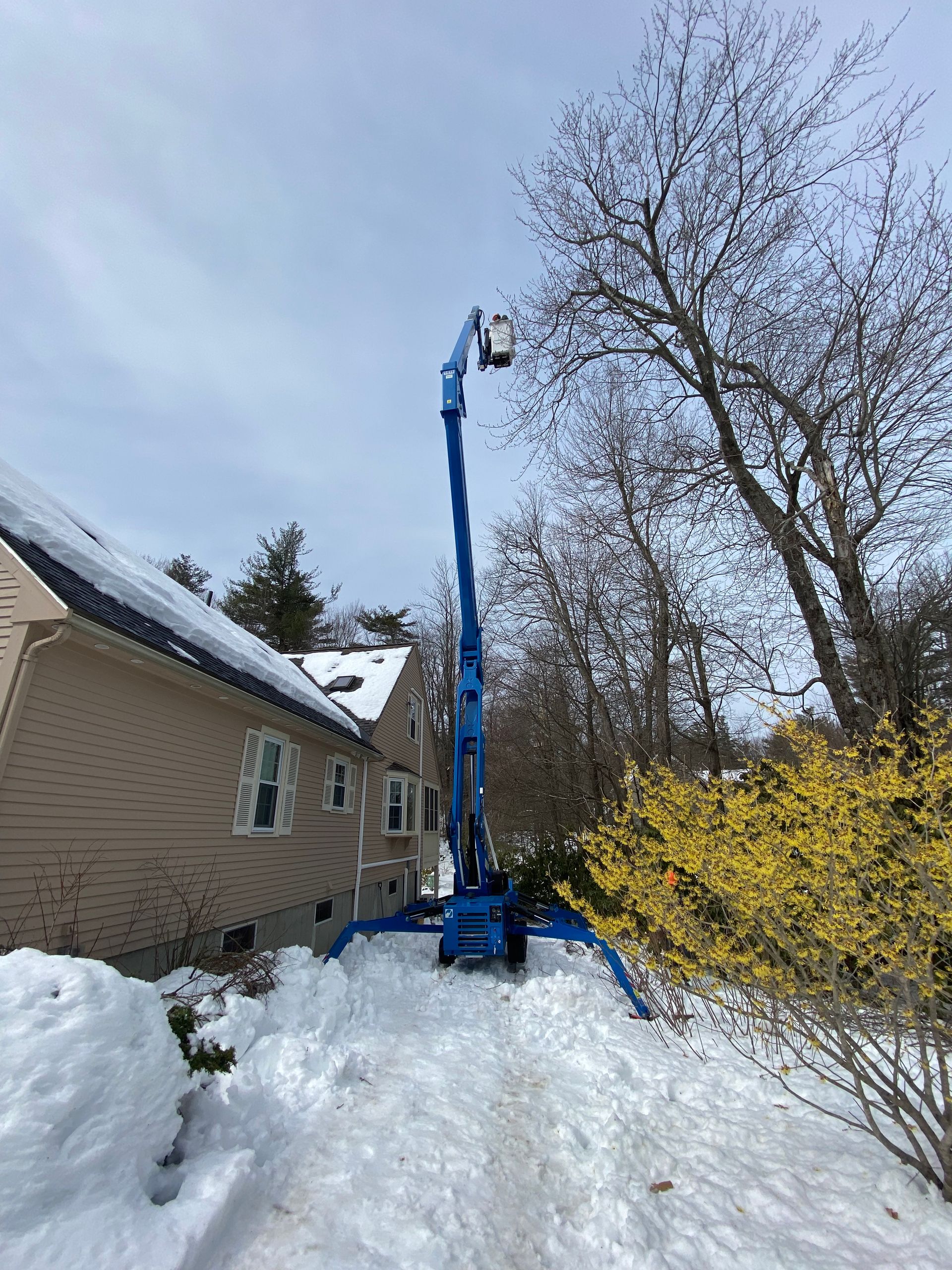 Traccess Aerial Lifts by CTE