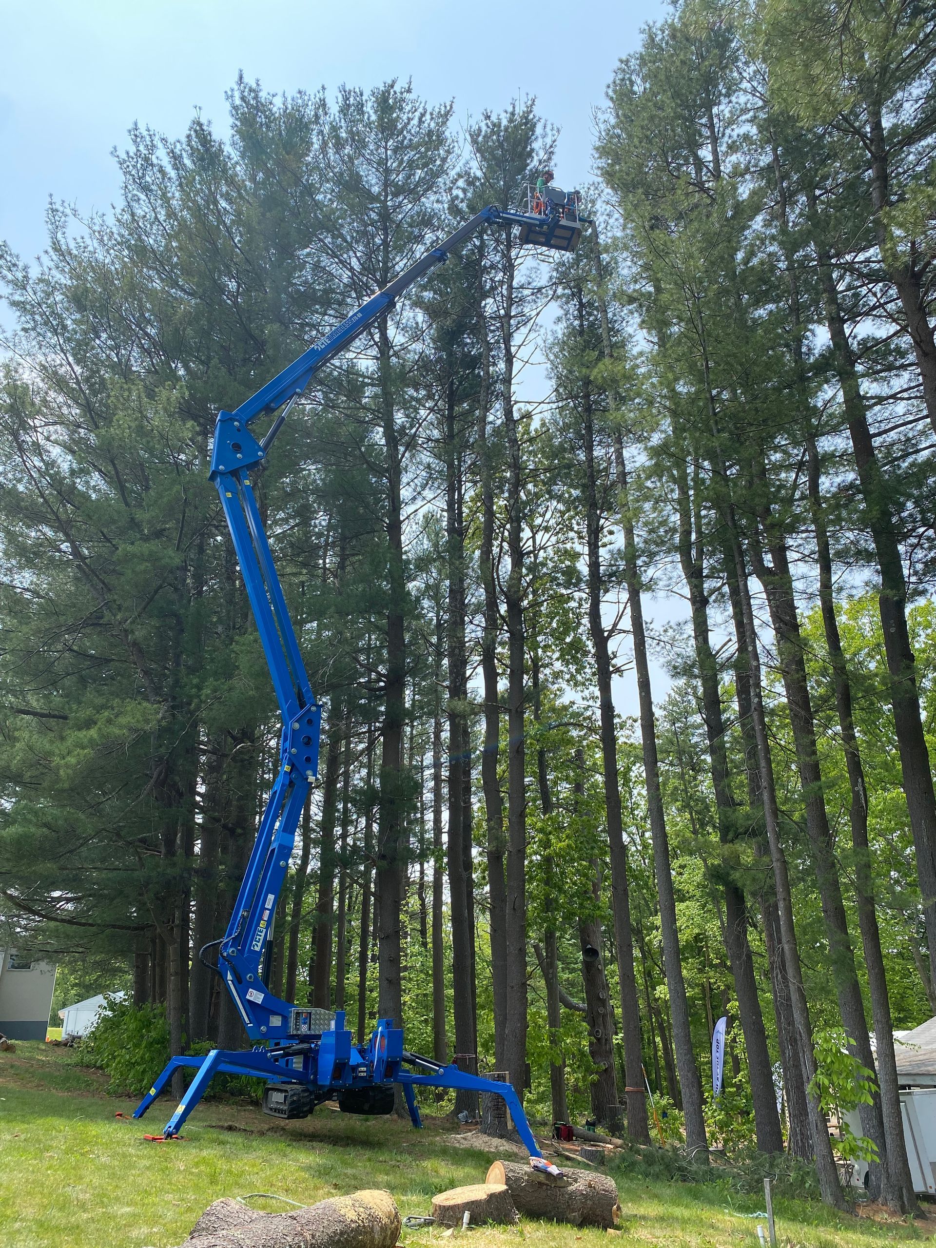 aerial lifts for tree care companies