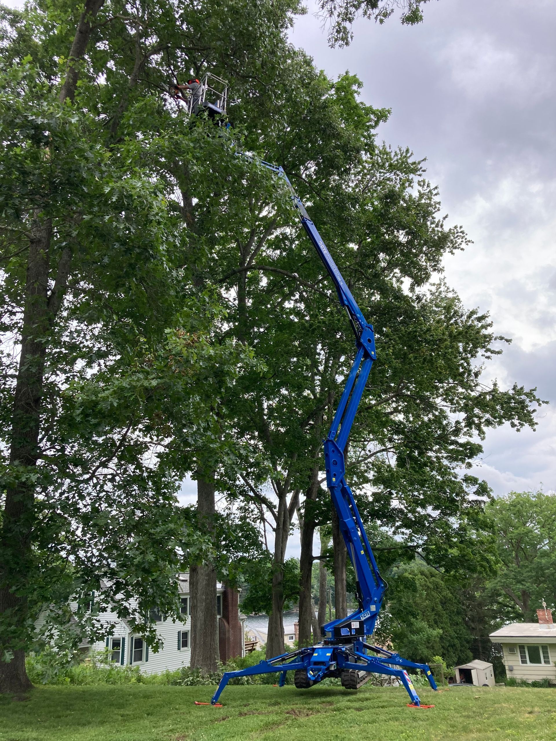 aerial lifts for tree care companies