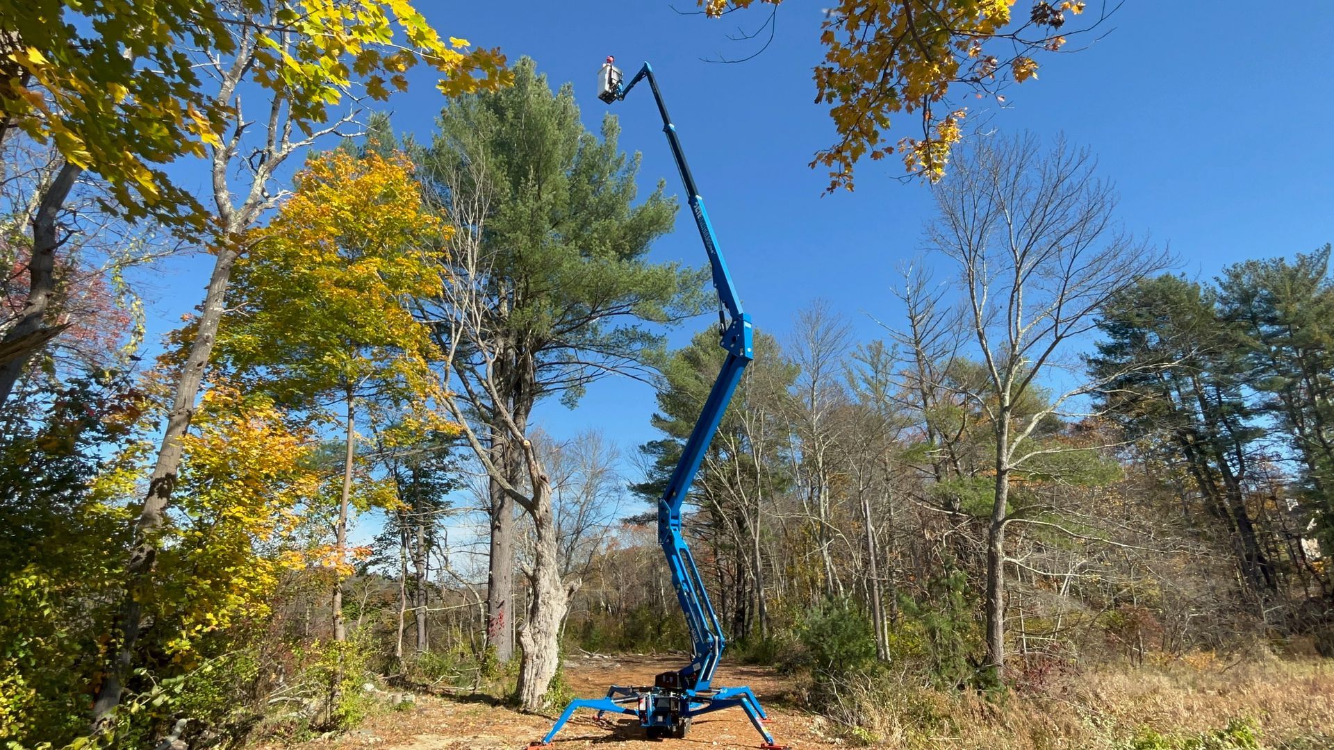 aerial lifts for tree care companies