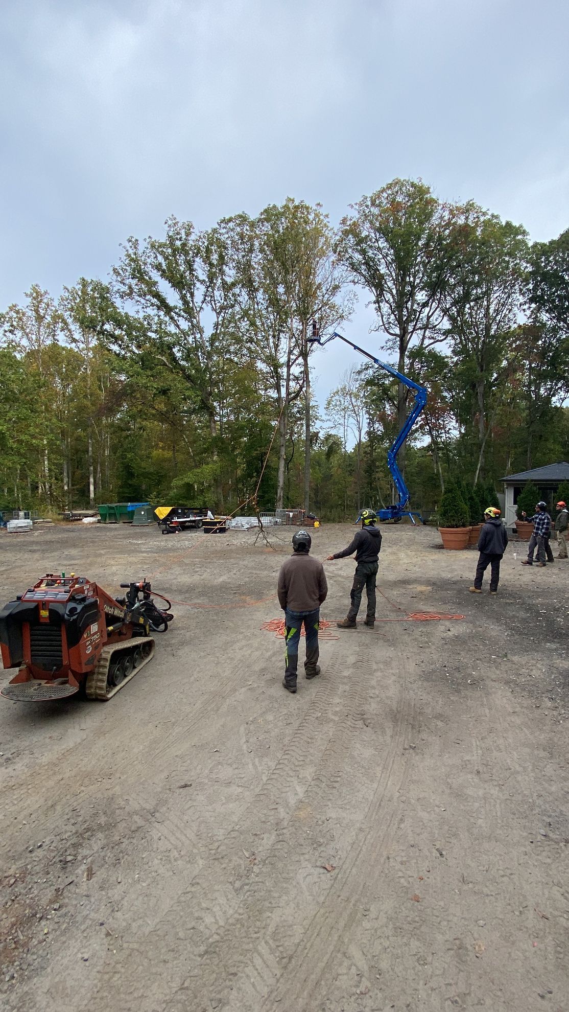 aerial lifts for tree care companies