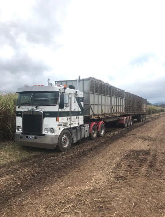 A Semi Truck Is Driving Down a Dirt Road Next to A Field of Sugar Cane — Stolzenberg Water Carriers in Chatsworth, QLD