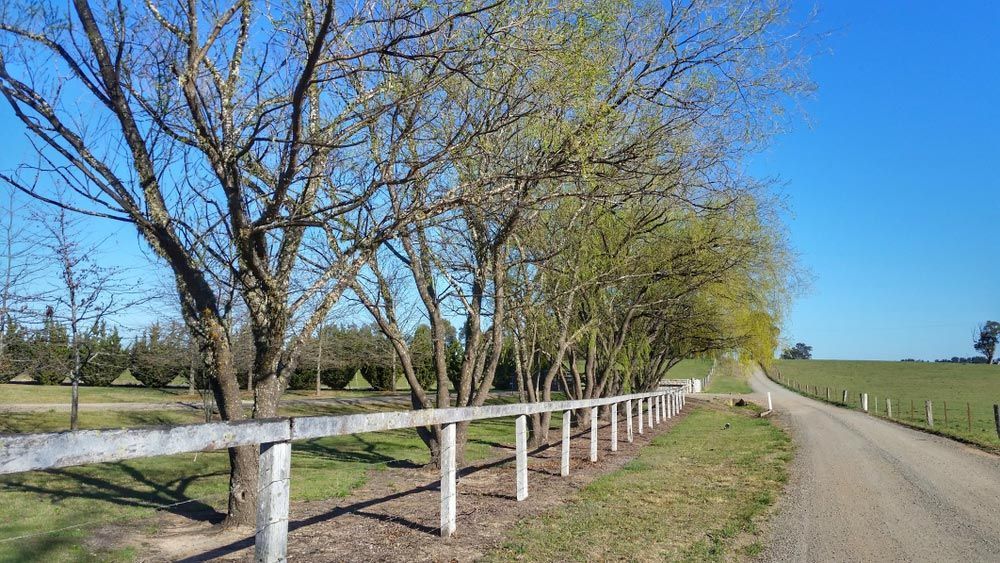 A Dirt Road with A Wooden Fence and Trees on Both Sides — Stolzenberg Water Carriers in Chatsworth, QLD