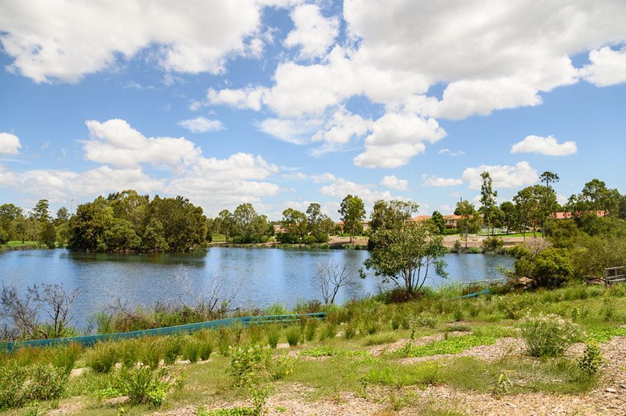 A Large Body of Water Surrounded by Trees and Grass Under a Cloudy Sky — Stolzenberg Water Carriers in Glenwood, QLD