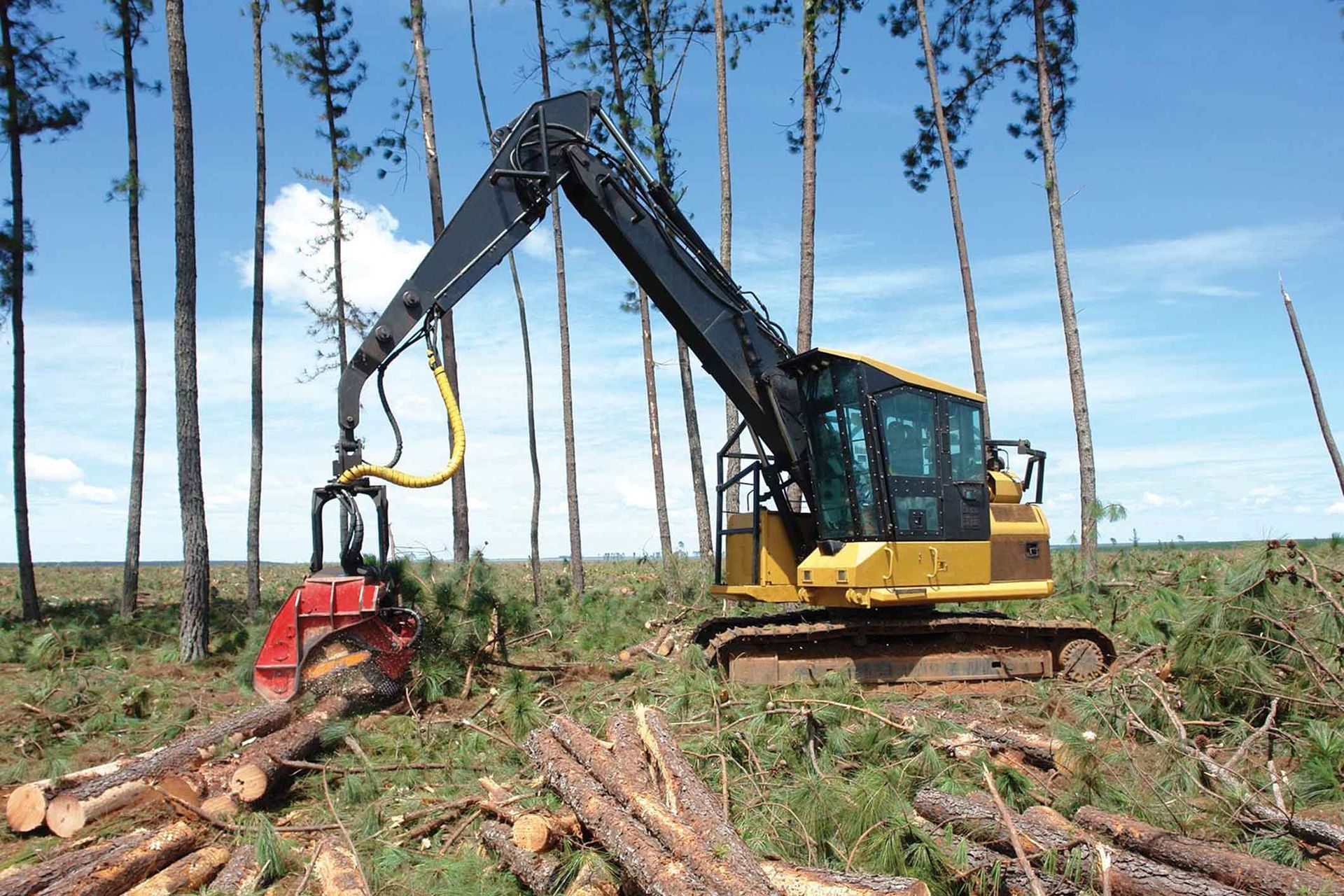 A Large Yellow Excavator Is Cutting Down Trees In A Forest – Port Pirie, SA - Flinders Earthmoving & Blue Metal Supplies
