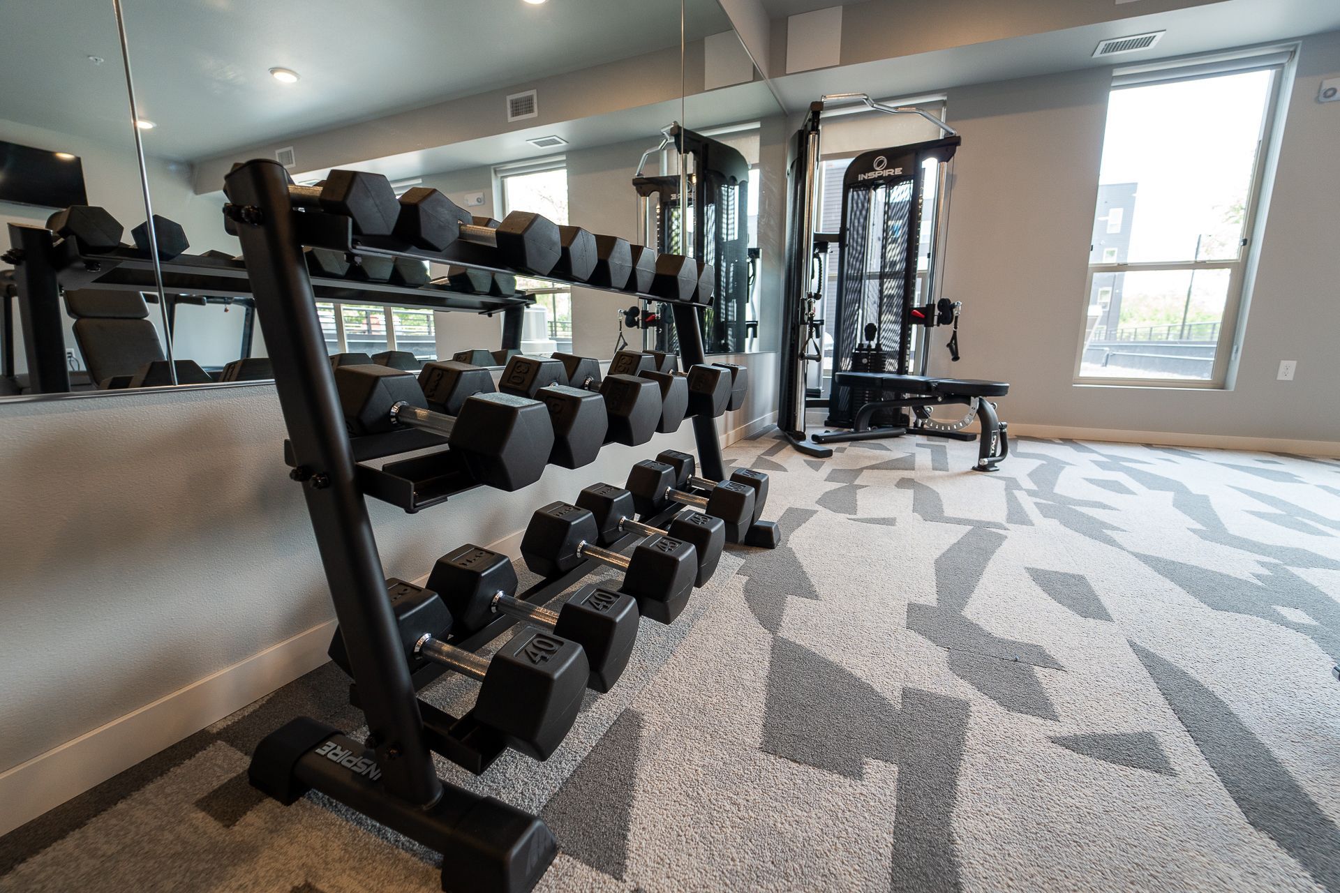 A rack of black hexagonal dumbbells in a modern gym with patterned carpet and a mirrored wall.