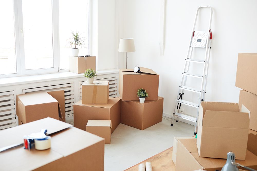 Boxes fill a bright room with a ladder, packing tape, and plants near a window.