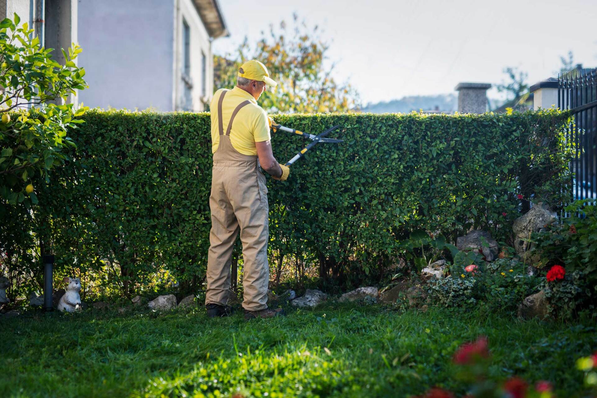 A picture containing an old man cutting a plant | Bayswater, VIC | Woodstock Tree & Stump Removal